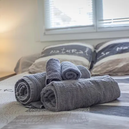 Paul Janet Appartement Grenoble