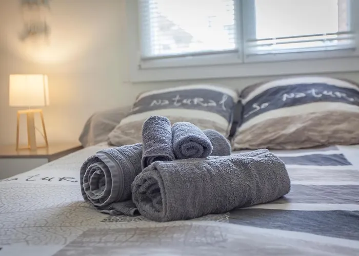 Paul Janet Appartement Grenoble